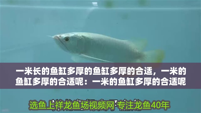 一米長(zhǎng)的魚(yú)缸多厚的魚(yú)缸多厚的合適，一米的魚(yú)缸多厚的合適呢：一米的魚(yú)缸多厚的合適呢