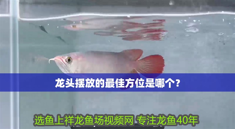 龍頭擺放的最佳方位是哪個？