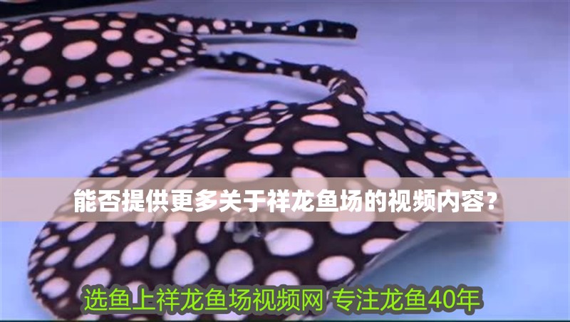 能否提供更多關于祥龍魚場的視頻內容？
