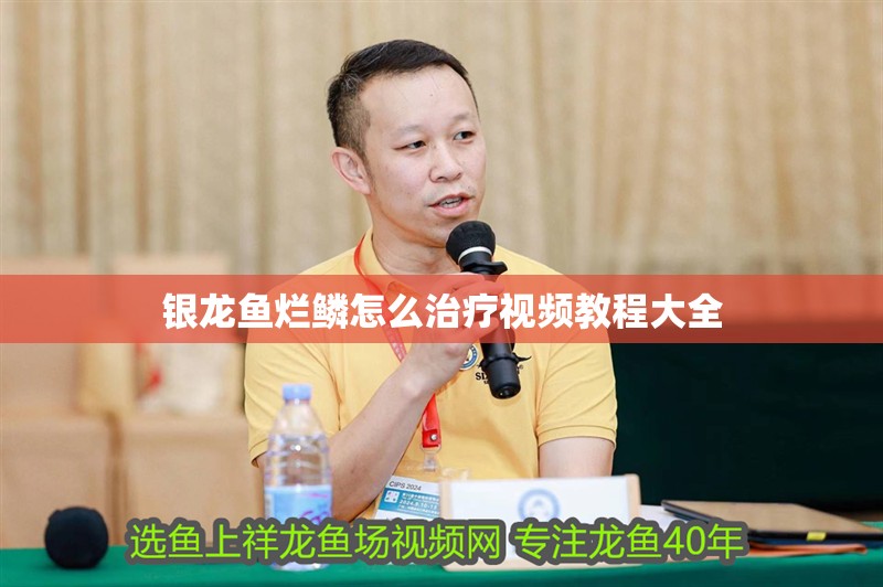 什么魚能和龍魚、虎魚混養(yǎng)(龍魚能和虎魚混養(yǎng)嗎) 銀龍魚爛鱗怎么治療視頻教程大全 龍魚百科 銀龍魚爛鱗怎么治療視頻教程大全 銀龍魚爛鱗怎么治療視頻教程大全 龍魚百科