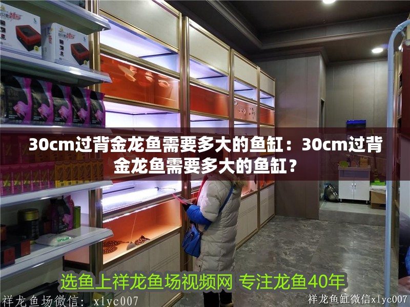 30cm過背金龍魚需要多大的魚缸：30cm過背金龍魚需要多大的魚缸？