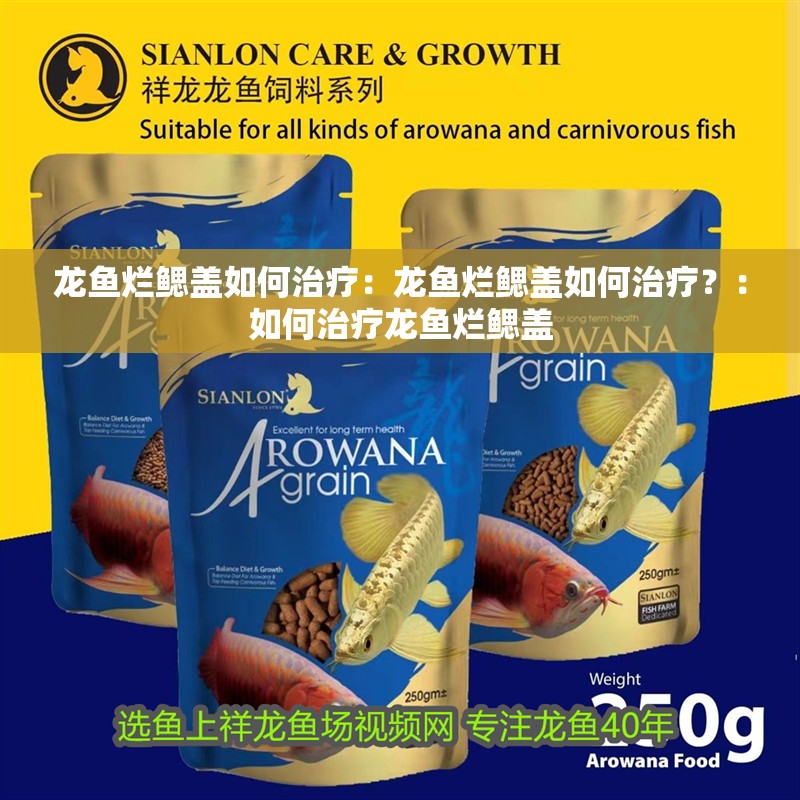 龍魚爛鰓蓋如何治療：龍魚爛鰓蓋如何治療？：如何治療龍魚爛鰓蓋