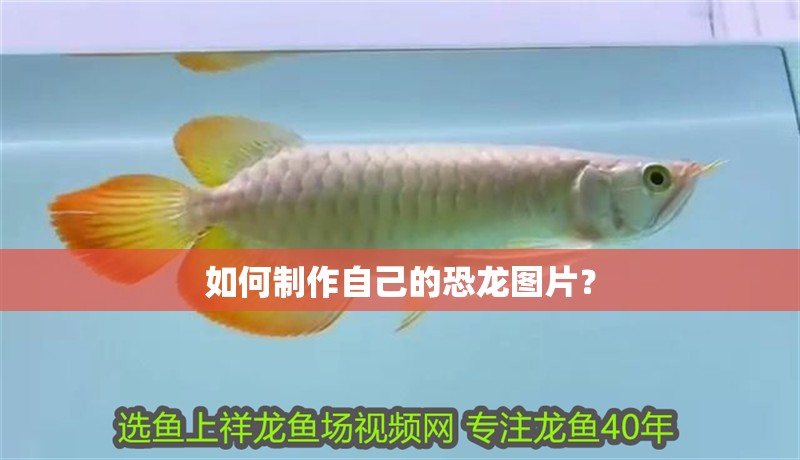 可麗愛魚缸型號系列介紹圖片（可麗愛魚缸與其他品牌的比較） 可麗愛魚缸型號系列介紹圖片（可麗愛魚缸與其他品牌的比較） 龍魚百科