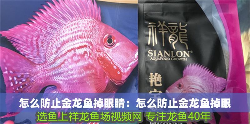 怎么防止金龍魚掉眼睛：怎么防止金龍魚掉眼