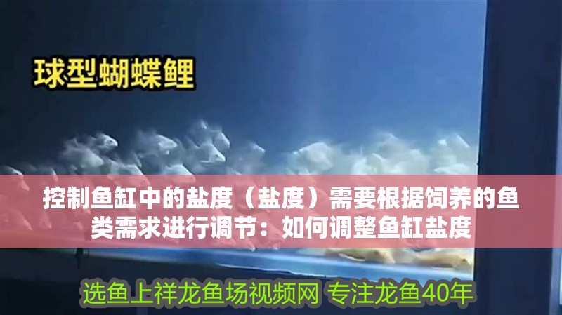 控制魚缸中的鹽度（鹽度）需要根據(jù)飼養(yǎng)的魚類需求進行調(diào)節(jié)：如何調(diào)整魚缸鹽度 控制魚缸中的鹽度（鹽度）需要根據(jù)飼養(yǎng)的魚類需求進行調(diào)節(jié)：如何調(diào)整魚缸鹽度 龍魚百科