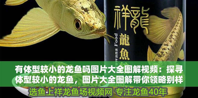 有體型較小的龍魚嗎圖片大全圖解視頻：探尋體型較小的龍魚，圖片大全圖解帶你領略別樣風采