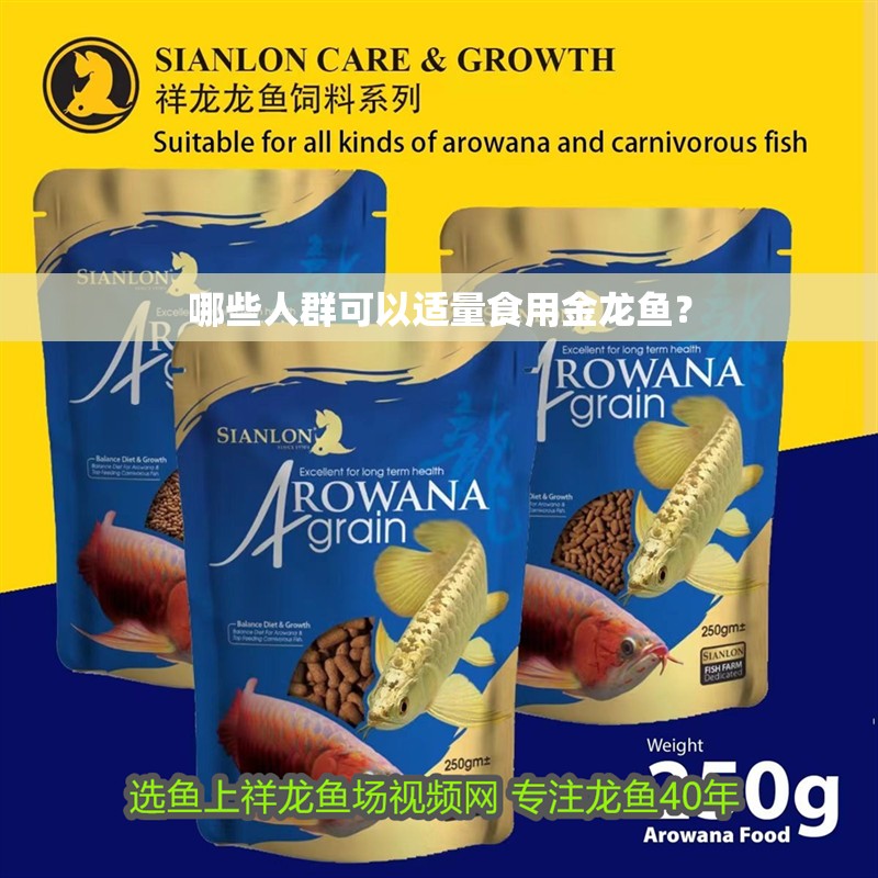 哪些人群可以適量食用金龍魚？