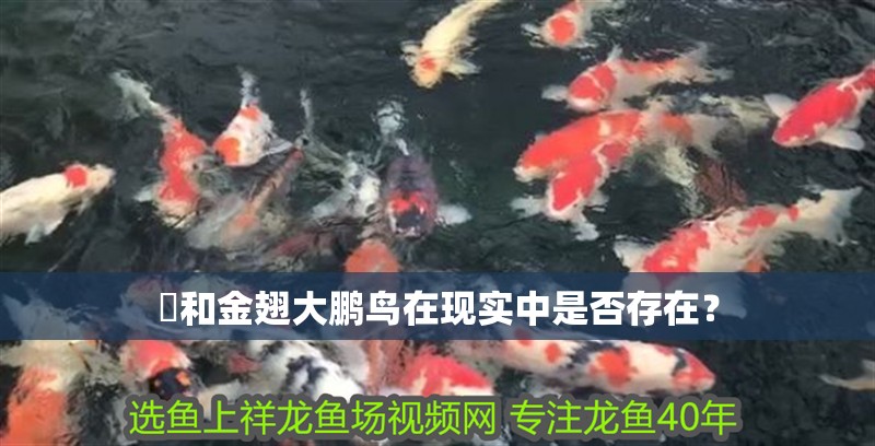 犼和金翅大鵬鳥在現實中是否存在？