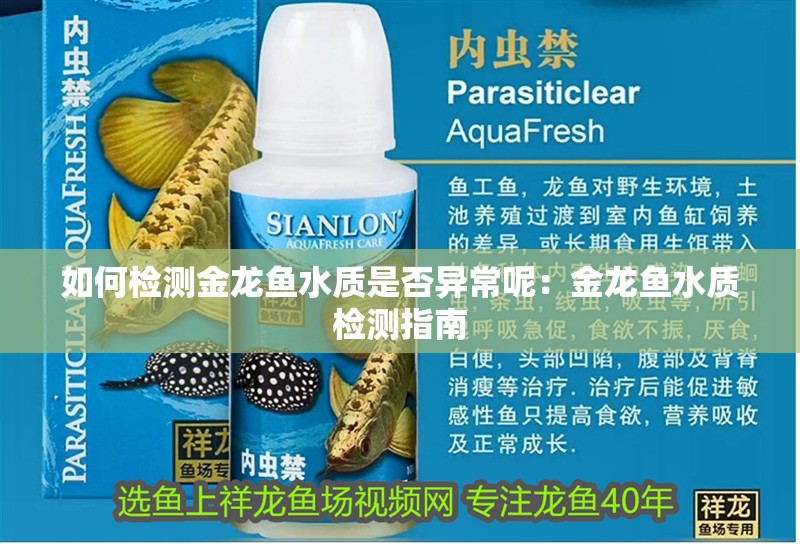 如何檢測金龍魚水質是否異常呢：金龍魚水質檢測指南