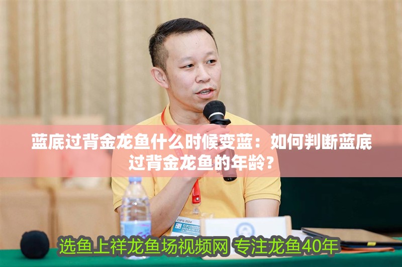 藍(lán)底過(guò)背金龍魚(yú)什么時(shí)候變藍(lán)：如何判斷藍(lán)底過(guò)背金龍魚(yú)的年齡？