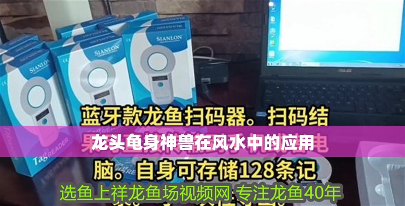 龍頭龜身神獸在風水中的應用