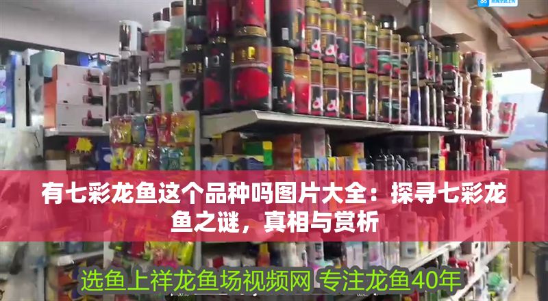 有七彩龍魚這個品種嗎圖片大全：探尋七彩龍魚之謎，真相與賞析