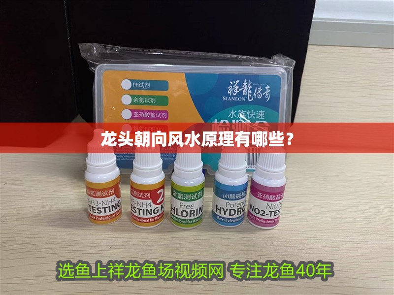 龍頭朝向風水原理有哪些？