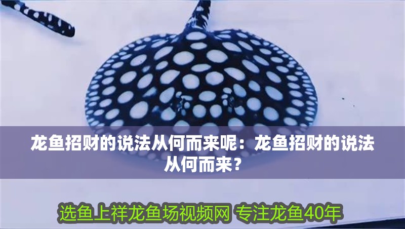 龍魚招財的說法從何而來呢：龍魚招財的說法從何而來？