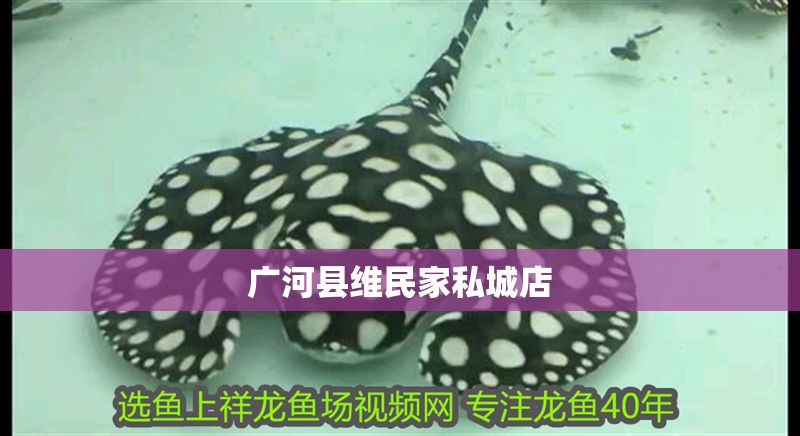 廣河縣維民家私城店