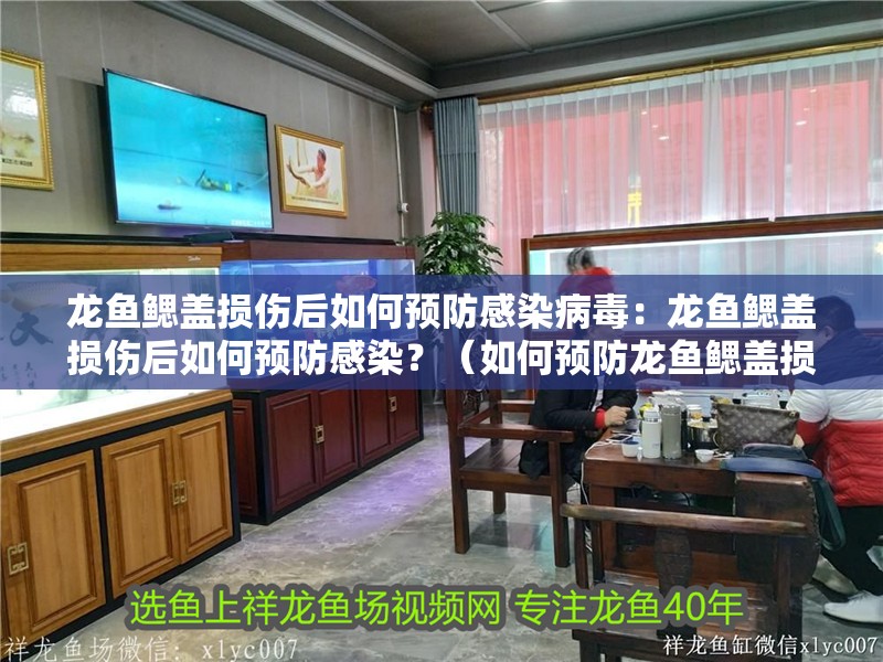 龍魚鰓蓋損傷后如何預防感染病毒：龍魚鰓蓋損傷后如何預防感染？（如何預防龍魚鰓蓋損傷）