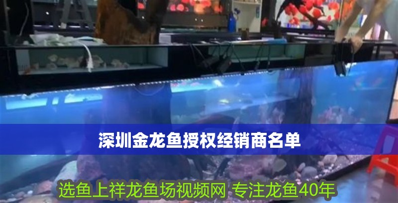 深圳金龍魚授權經銷商名單