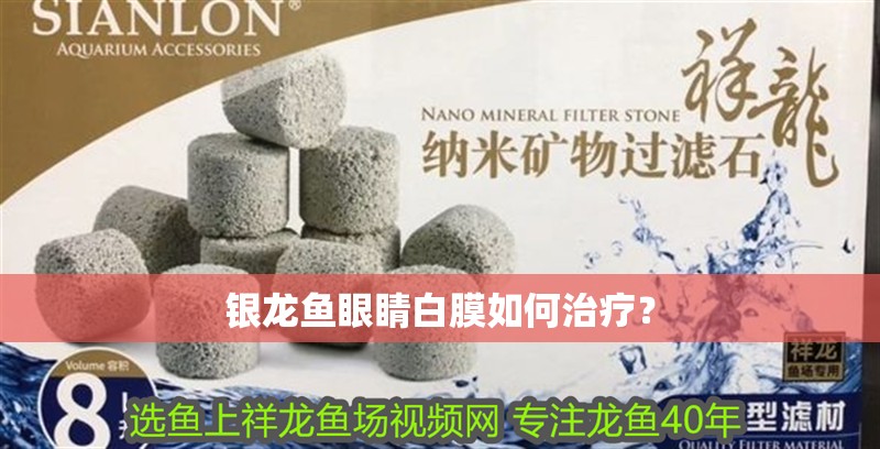 銀龍魚眼睛白膜如何治療？
