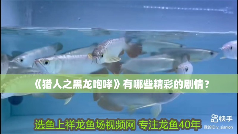 《獵人之黑龍咆哮》有哪些精彩的劇情？