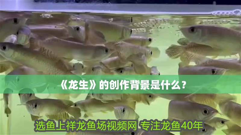 《龍生》的創作背景是什么？ 《龍生》的創作背景是什么？ 龍魚百科