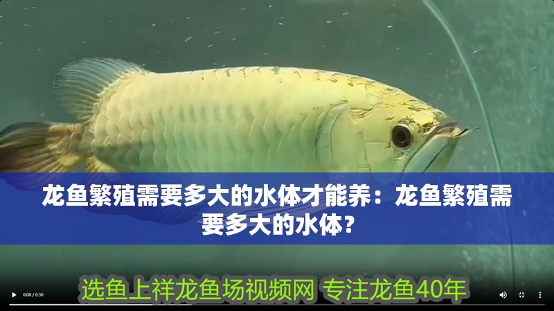 龍魚繁殖需要多大的水體才能養(yǎng)：龍魚繁殖需要多大的水體？