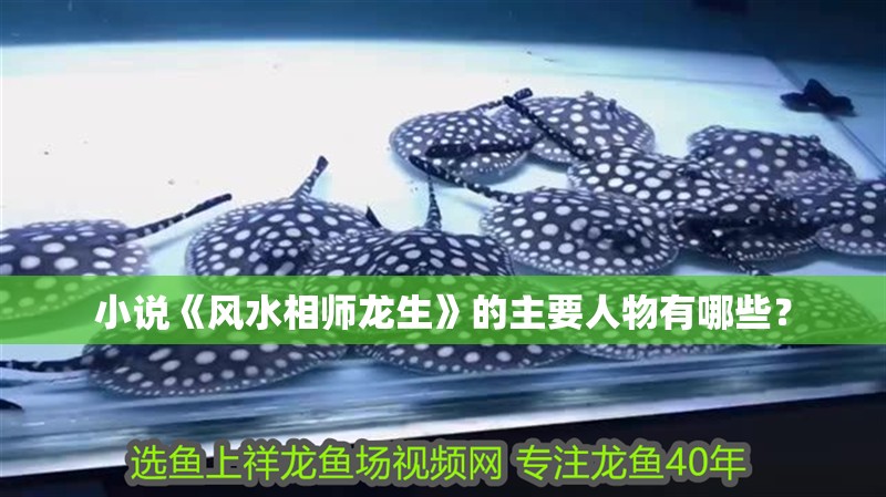 小說《風(fēng)水相師龍生》的主要人物有哪些？