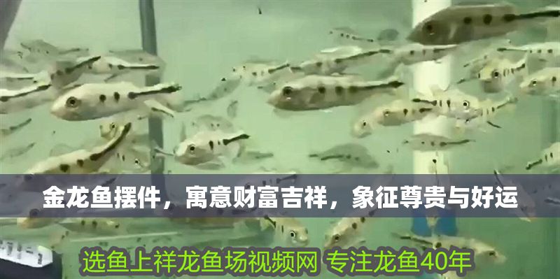 金龍魚擺件，寓意財富吉祥，象征尊貴與好運 金龍魚擺件，寓意財富吉祥，象征尊貴與好運 龍魚百科 第1張