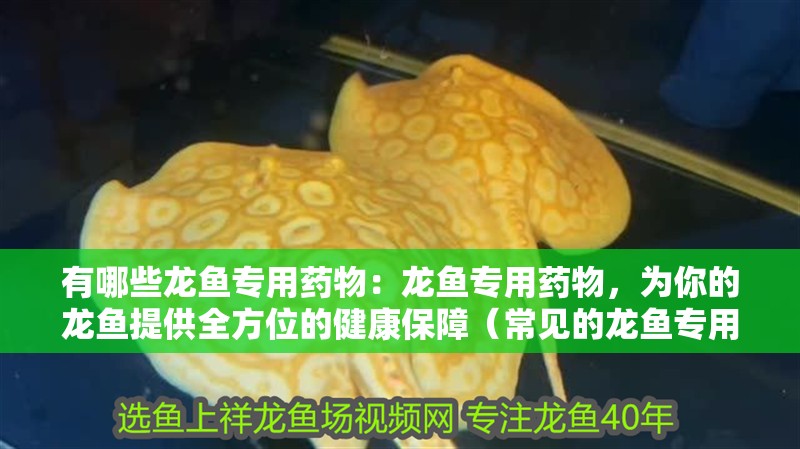 有哪些龍魚專用藥物：龍魚專用藥物，為你的龍魚提供全方位的健康保障（常見的龍魚專用藥物）