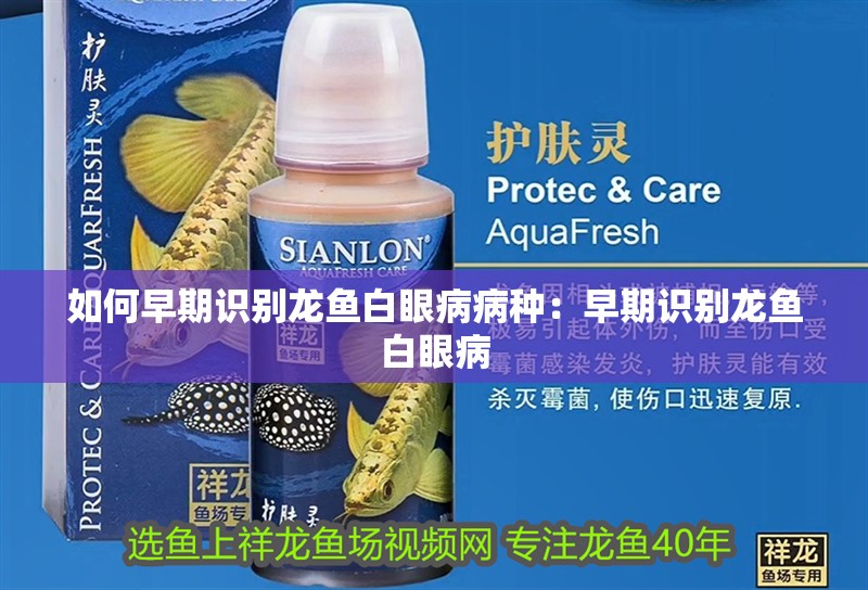 如何早期識別龍魚白眼病病種：早期識別龍魚白眼病