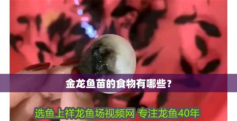 龍魚病了沉到水底了怎么救：當(dāng)龍魚生病并且沉到水底時(shí)，可能是由于多種原因引起的