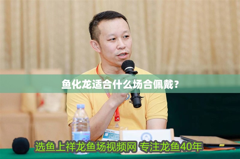 魚化龍適合什么場合佩戴？