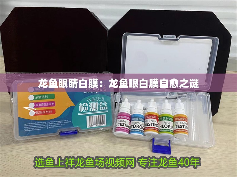 龍魚眼睛白膜：龍魚眼白膜自愈之謎