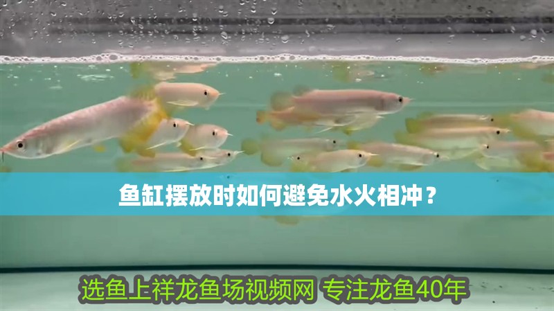 魚缸擺放時如何避免水火相沖？