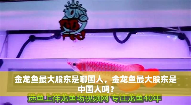 金龍魚最大股東是哪國人，金龍魚最大股東是中國人嗎？