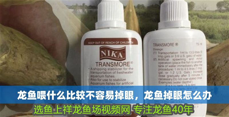 龍魚喂什么比較不容易掉眼，龍魚掉眼怎么辦