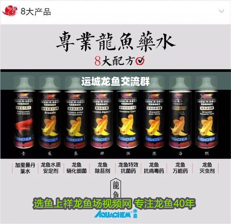 運城龍魚交流群