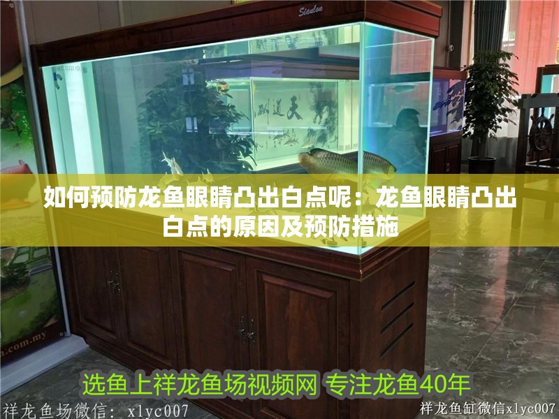 如何預防龍魚眼睛凸出白點呢：龍魚眼睛凸出白點的原因及預防措施