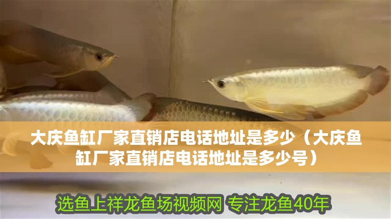 大慶魚缸廠家直銷店電話地址是多少（大慶魚缸廠家直銷店電話地址是多少號） 大慶魚缸廠家直銷店電話地址是多少（大慶魚缸廠家直銷店電話地址是多少號） 龍魚百科