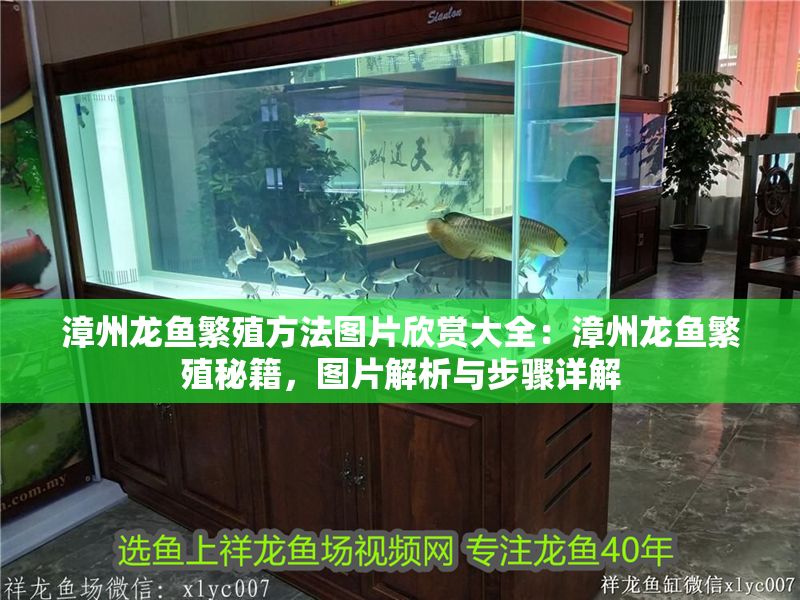 漳州龍魚繁殖方法圖片欣賞大全：漳州龍魚繁殖秘籍，圖片解析與步驟詳解