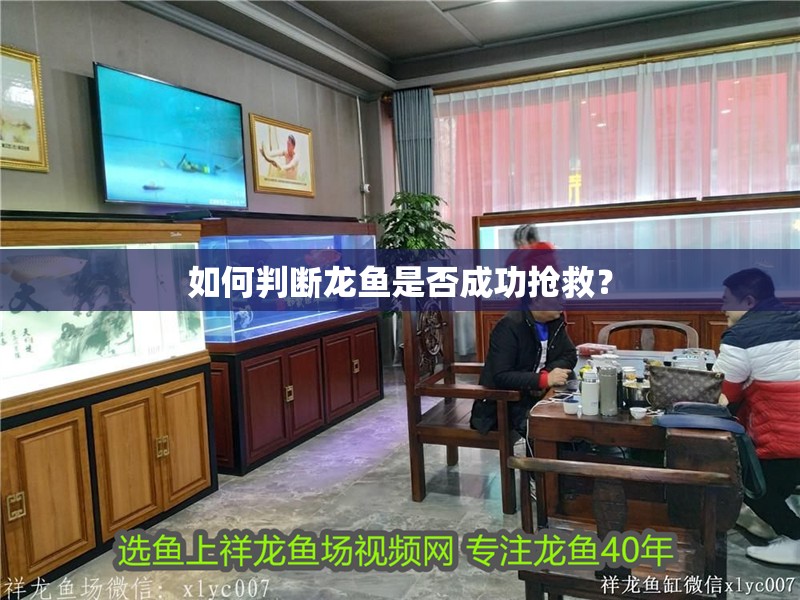 如何判斷龍魚是否成功搶救？