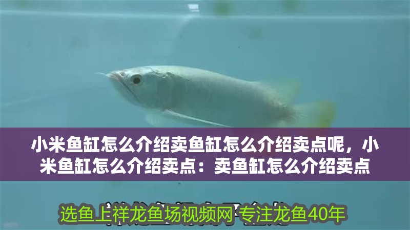 小米魚缸怎么介紹賣魚缸怎么介紹賣點呢，小米魚缸怎么介紹賣點：賣魚缸怎么介紹賣點