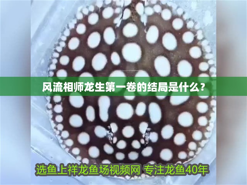 風流相師龍生第一卷的結局是什么？