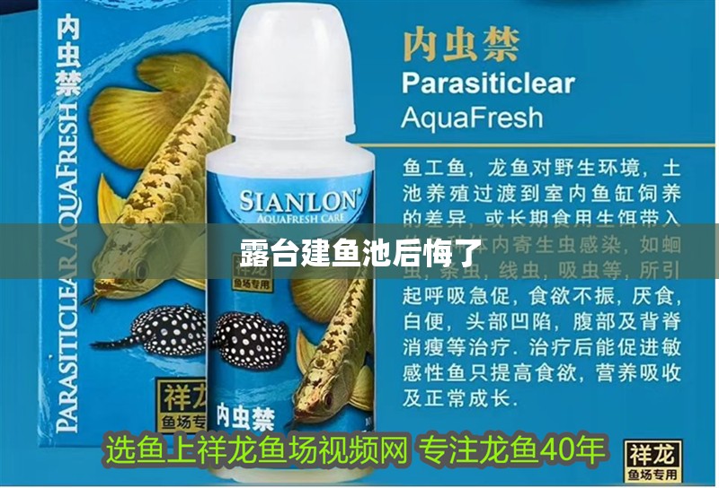 露臺建魚池后悔了