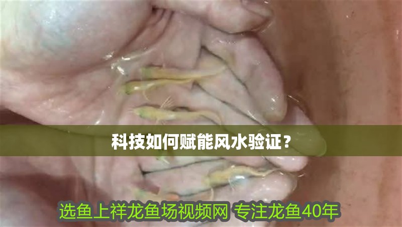 科技如何賦能風水驗證？