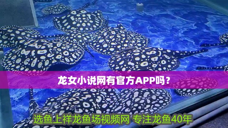 龍女小說(shuō)網(wǎng)有官方APP嗎？