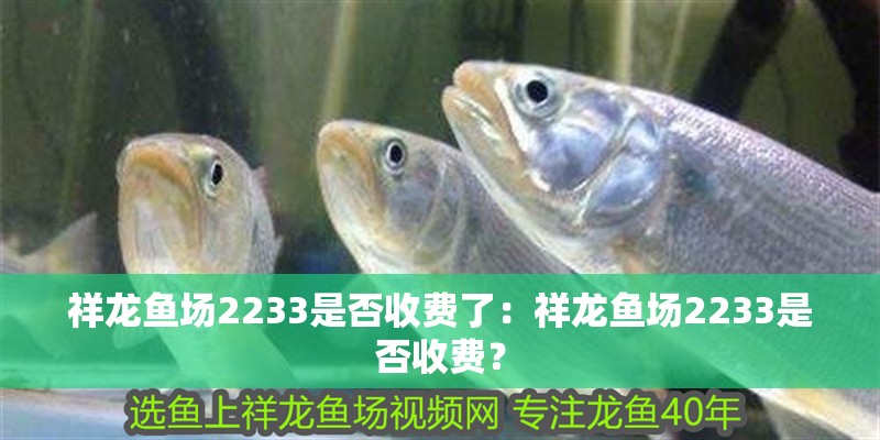 祥龍魚場2233是否收費了：祥龍魚場2233是否收費？