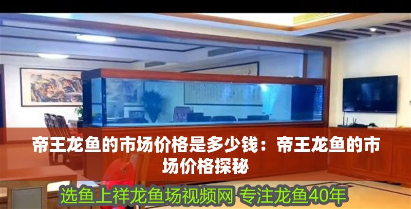 帝王龍魚的市場價格是多少錢：帝王龍魚的市場價格探秘