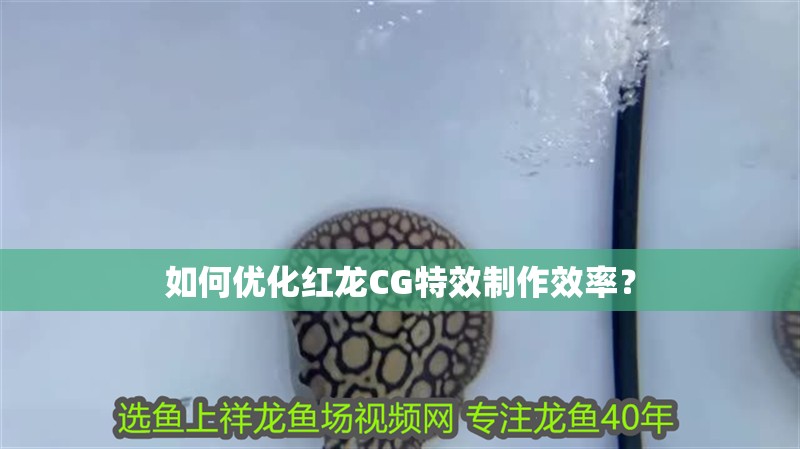 如何優化紅龍CG特效制作效率？