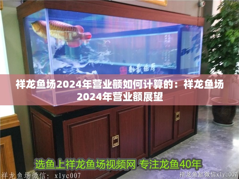 祥龍魚場2024年營業額如何計算的：祥龍魚場2024年營業額展望