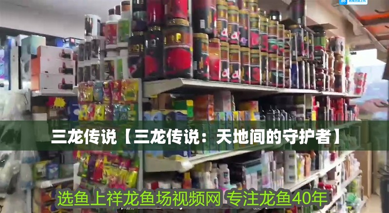 三龍傳說【三龍傳說：天地間的守護(hù)者】 三龍傳說【三龍傳說：天地間的守護(hù)者】 龍魚論壇
